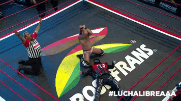 Hell Yeah Yes GIF by Lucha Libre AAA