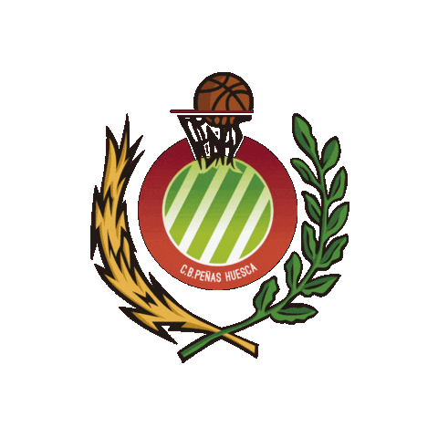 Basket Baloncesto Sticker by huescalamagia