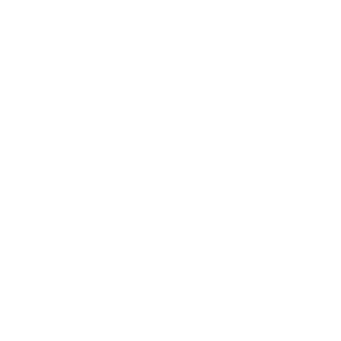 Vibes Springfield Sticker by Connect church