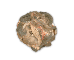 Green Tripe Sticker by PetKind