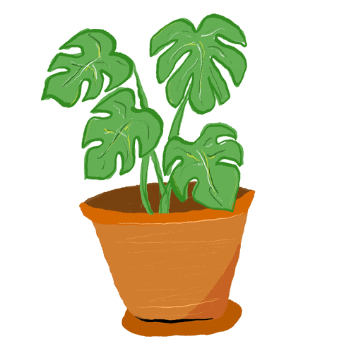 Plant Illustration GIFs - Get the best GIF on GIPHY