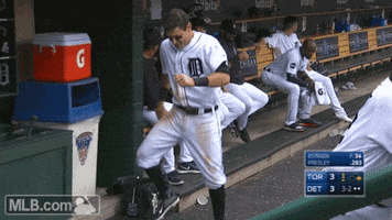 detroit tigers dance GIF by MLB