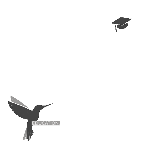 Online Birds Education Sticker by Online Birds Hotel Marketing Solutions