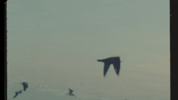 Happy Music Video GIF by Maren Morris