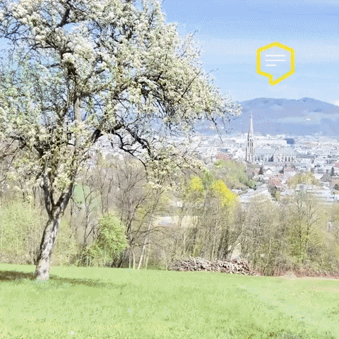 Spring Wow GIF by Linz News
