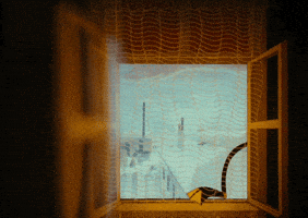 Animation Film GIF