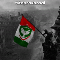 Toprakonsal GIF
