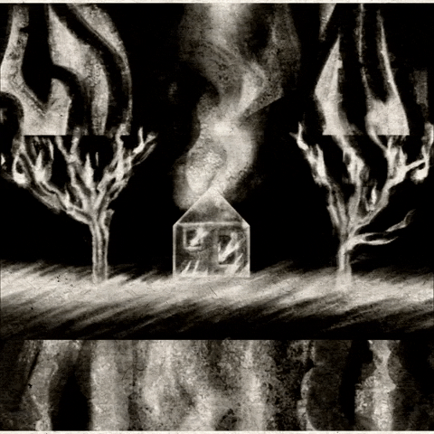 gabrielaorozcoanimation fire dark rage forest GIF