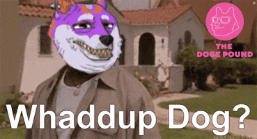Snoop Dogg Dog GIF by The Doge Pound 