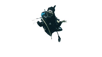 Georgina Kartelia Sticker