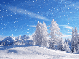Video gif. It's a sunny day and the snow is falling upon a snow-filled land, with every tree and mountain in the landscape covered in white.