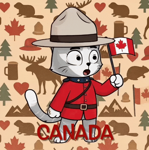 Canadian GIF by Hero Galaxy NFT