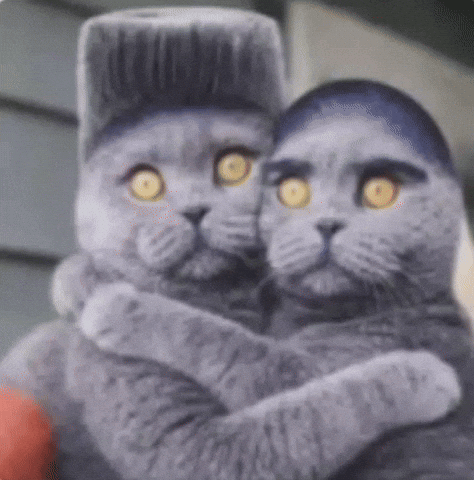 Folk Cat GIF