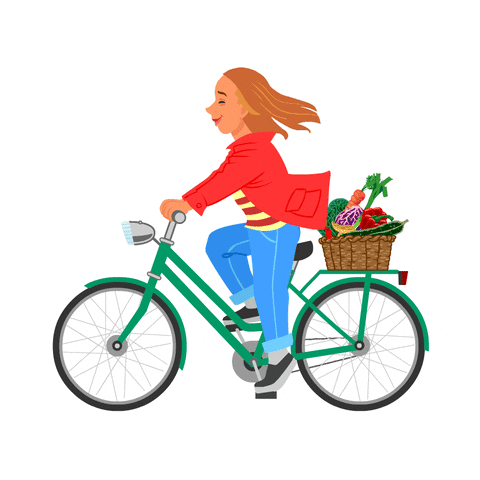 MichaelVerhuelsdonk health bicycle vegetables bicycling GIF