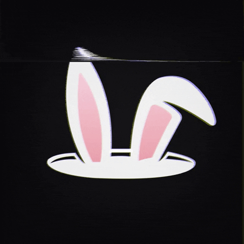 Rabbit GIF