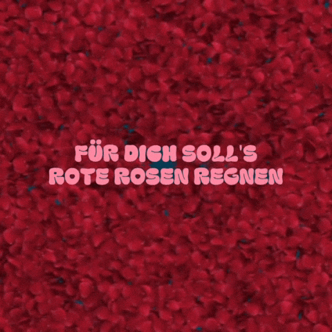 Red Roses Love GIF by DAK-Gesundheit