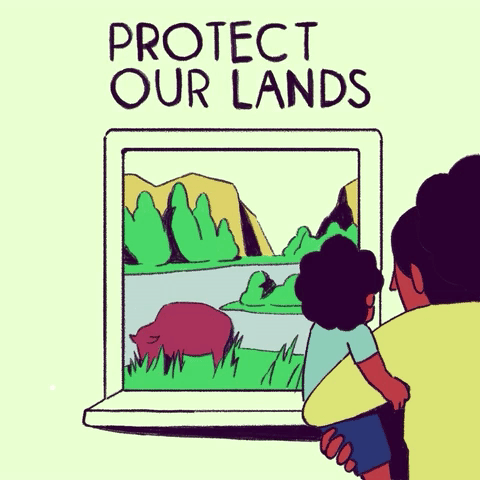 Protect Our Lands