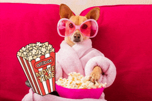 Movie Popcorn GIF by Altibox