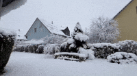Zurich Homes Blanketed With First Winter Snowfall