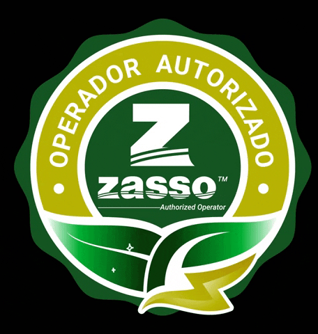 Zassogroup zasso capina elétrica operador zasso zasso operador GIF