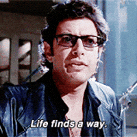 Goldblum GIFs - Find & Share on GIPHY