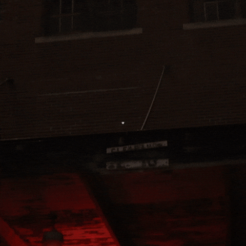 Days No GIF by Exclusive Brands