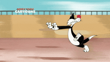 Looney Tunes Running GIF by Cartoon Network Asia