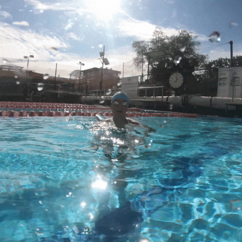 Swimming Pool Hello GIF by Watery