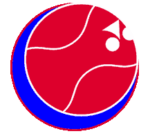 Tennis Spin Sticker by Yonex