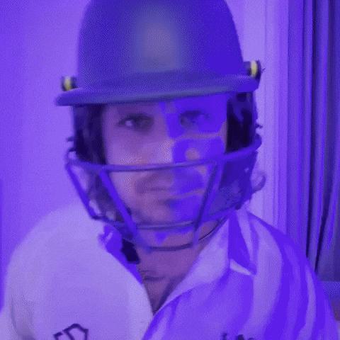 Cricket Bat GIF by Luke Westen