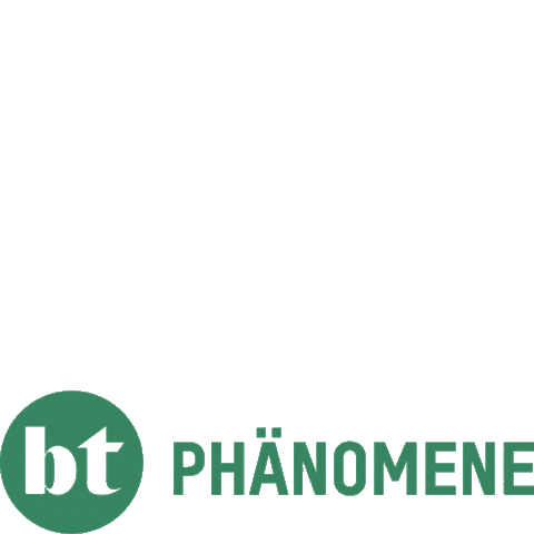 Art Festival Sticker by Brandenburger Theater