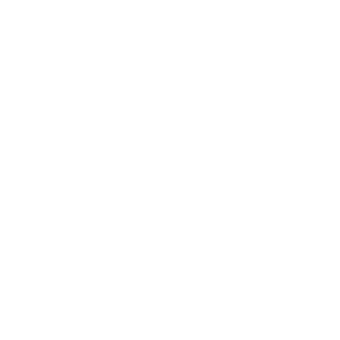 Miami Reel Sticker by Aguacate Boutique