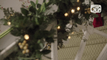 Happy Christmas GIF by Coach