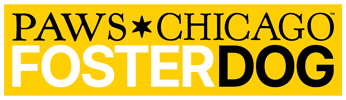 Fosterdog GIF by PAWS Chicago