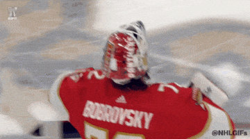 Happy Ice Hockey GIF by NHL