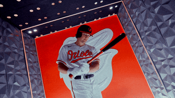 Sport Win GIF by Baltimore Orioles