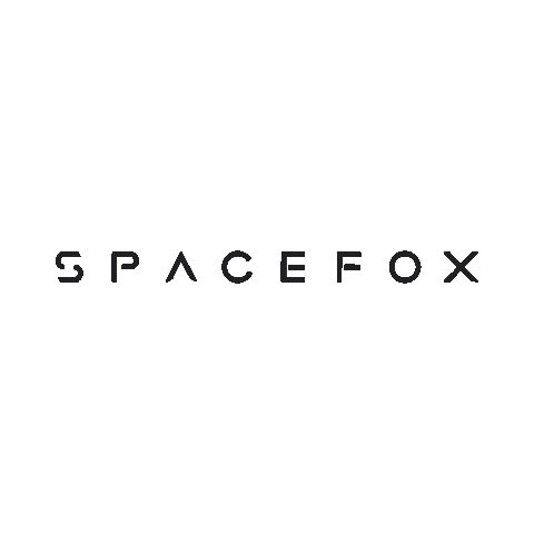 Spacefox Sticker