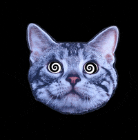 Psychedelic Cat GIFs