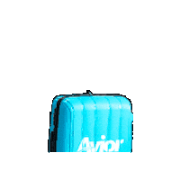 Veranoflexible Sticker by Avior Airlines