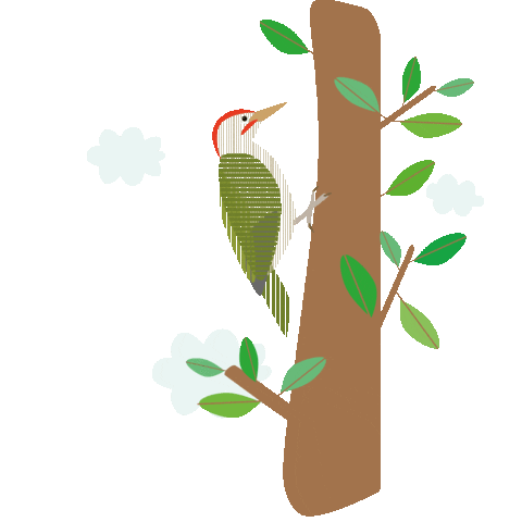 Annadieresi Sticker