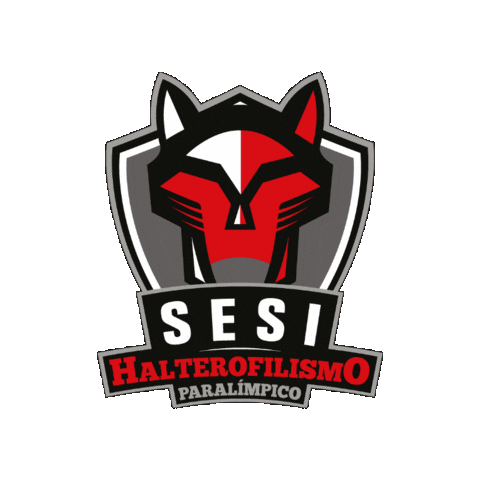 Paralímpico Sticker by Sesi São Paulo