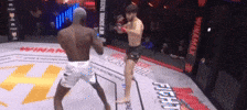 Mma GIF by Old School Academy