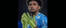 Vila Belmiro Santos GIF