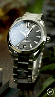 Style Luxury GIF by Watch Obsession