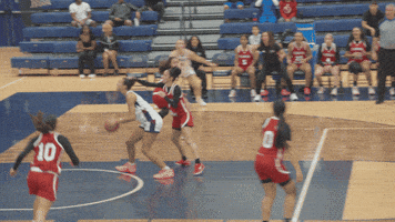 Stu GIF by STUMiami