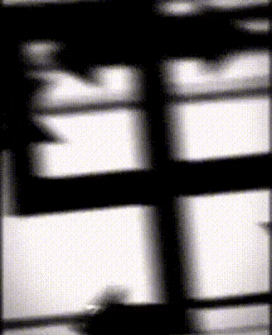 Movement GIF