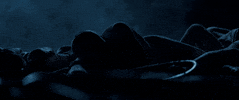 The Weeknd Dark GIF by Swedish House Mafia