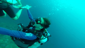 Scuba GIF