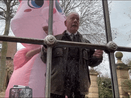 Surprise GIF