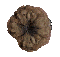 New Year Overload Sticker by Sugababes